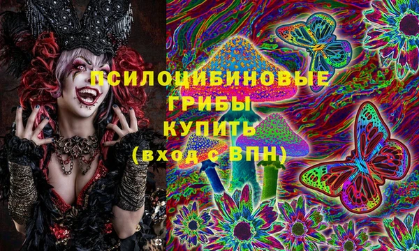 бошки Аркадак