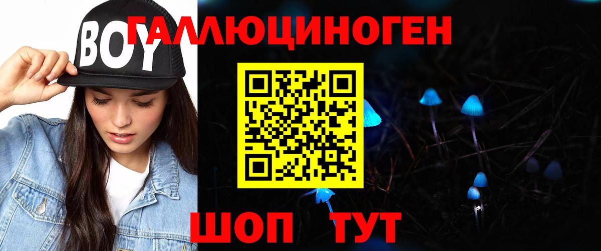 Джанкой  Галлюциногенные грибы Psilocybe  Вход с VPN 