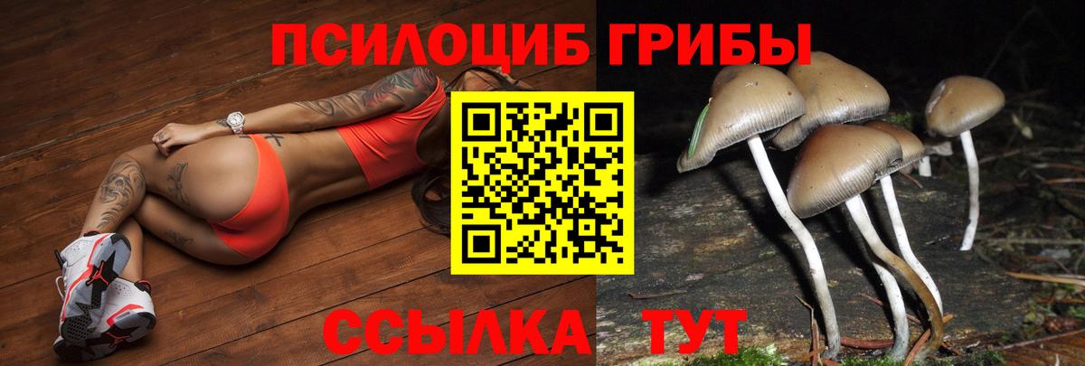 Галлюциногенные грибы Cubensis Джанкой