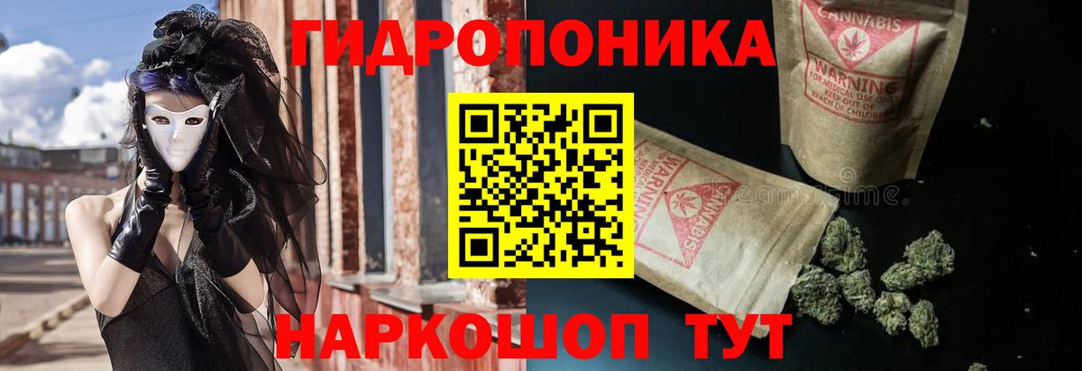МАРИХУАНА сатива Джанкой